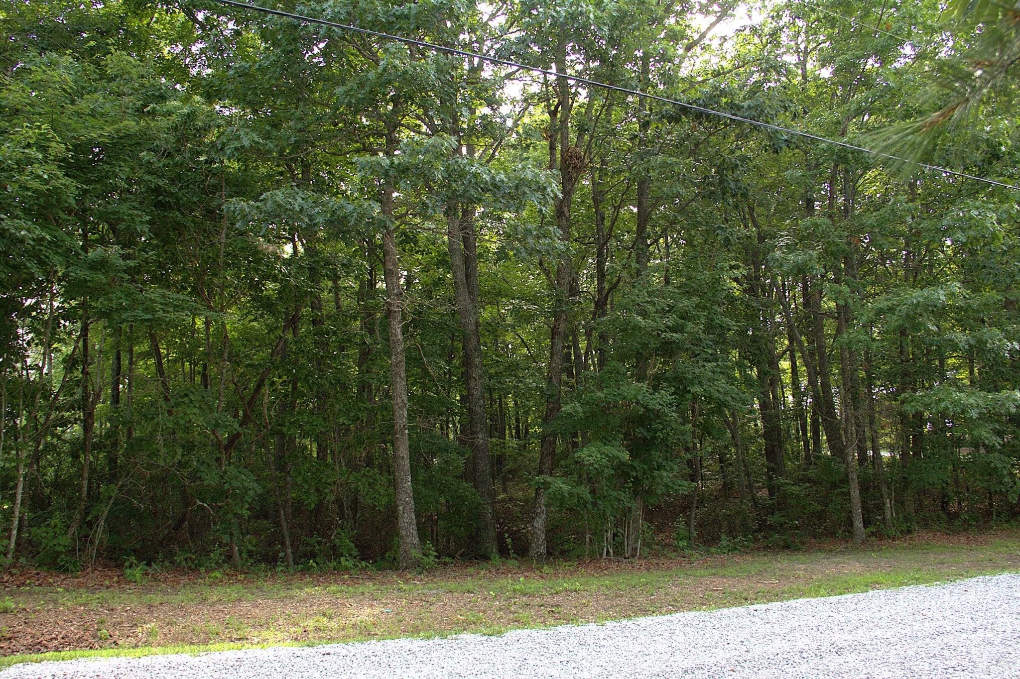 0 Bluff Line Dr