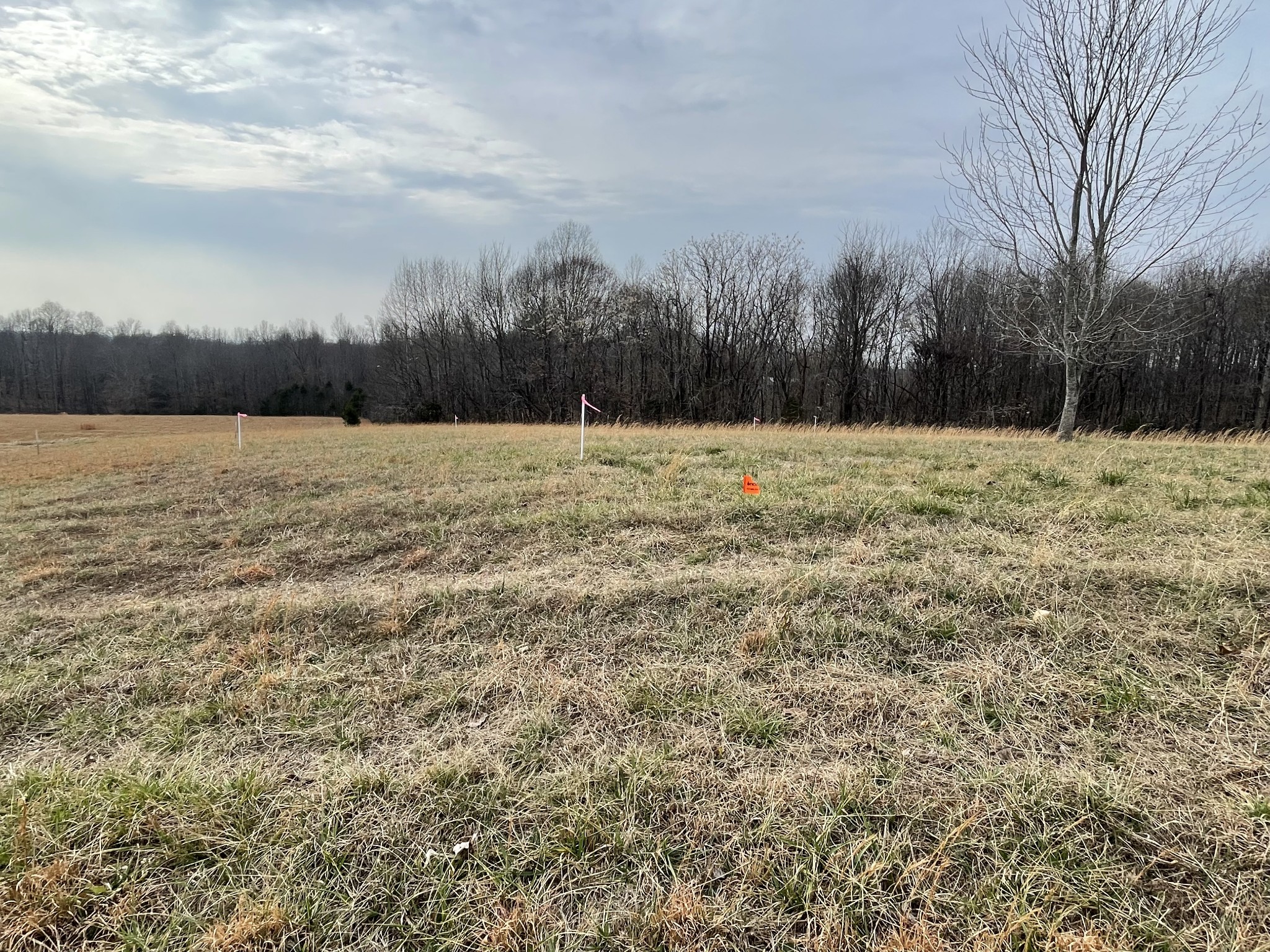 595 Sadlers Chapel Rd