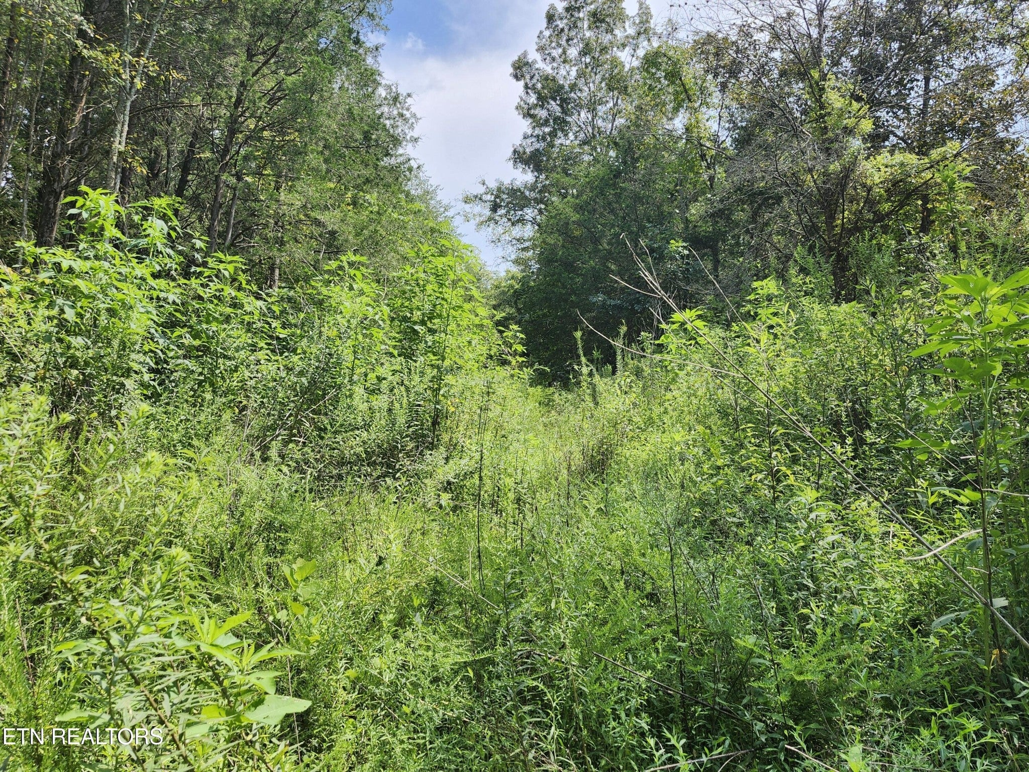 340 Swadis Drive