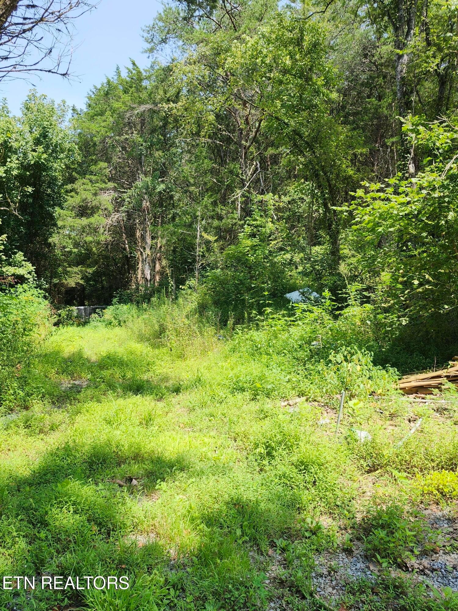340 Swadis Drive