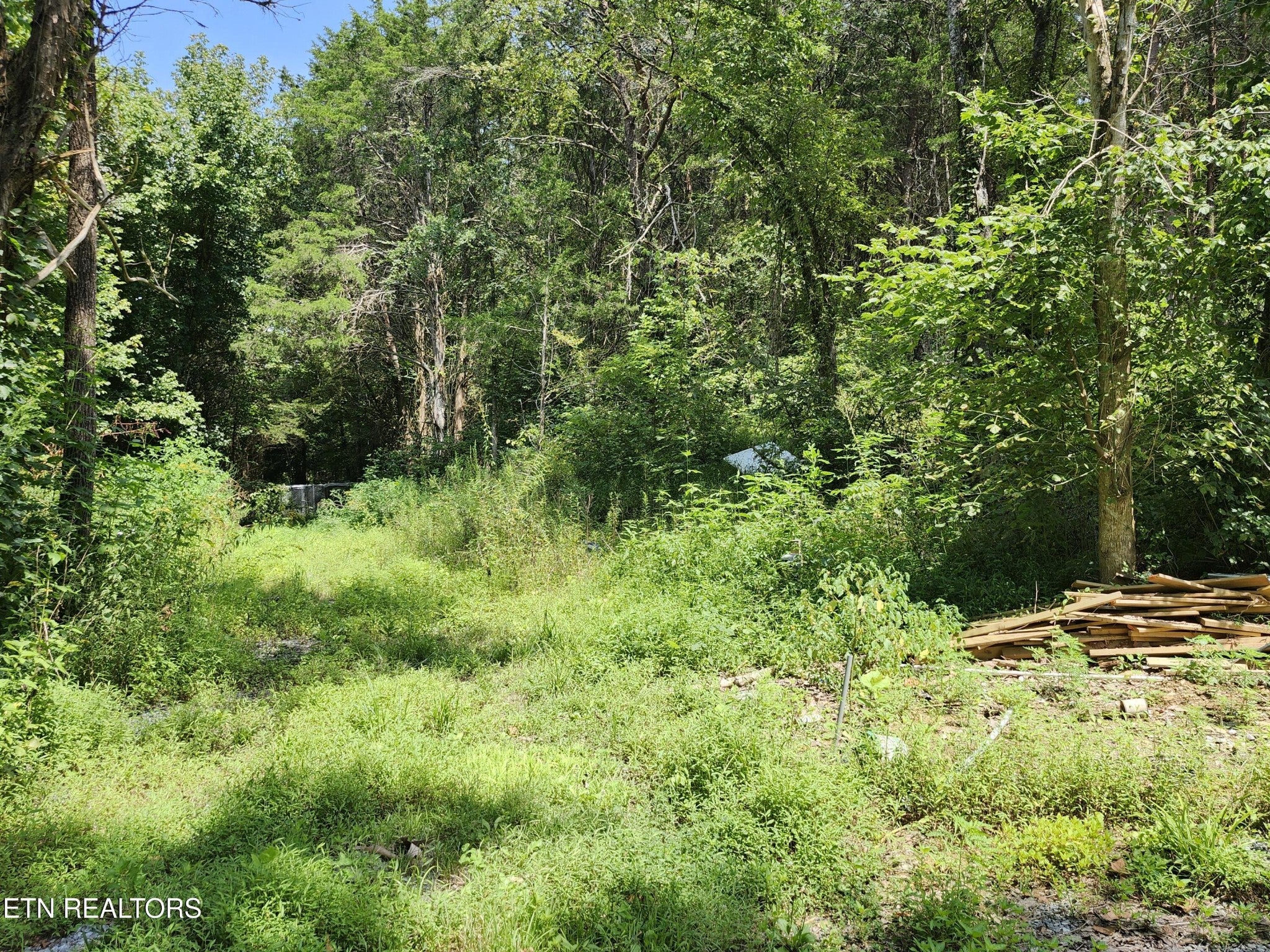 340 Swadis Drive