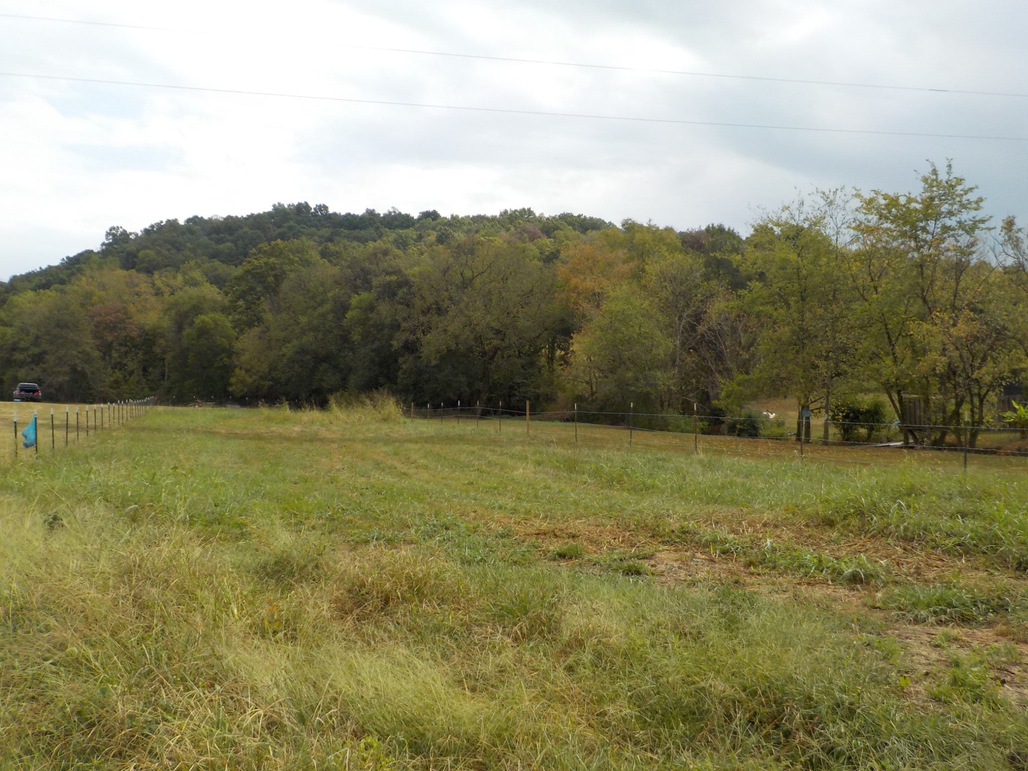 0 Rogues Fork Road