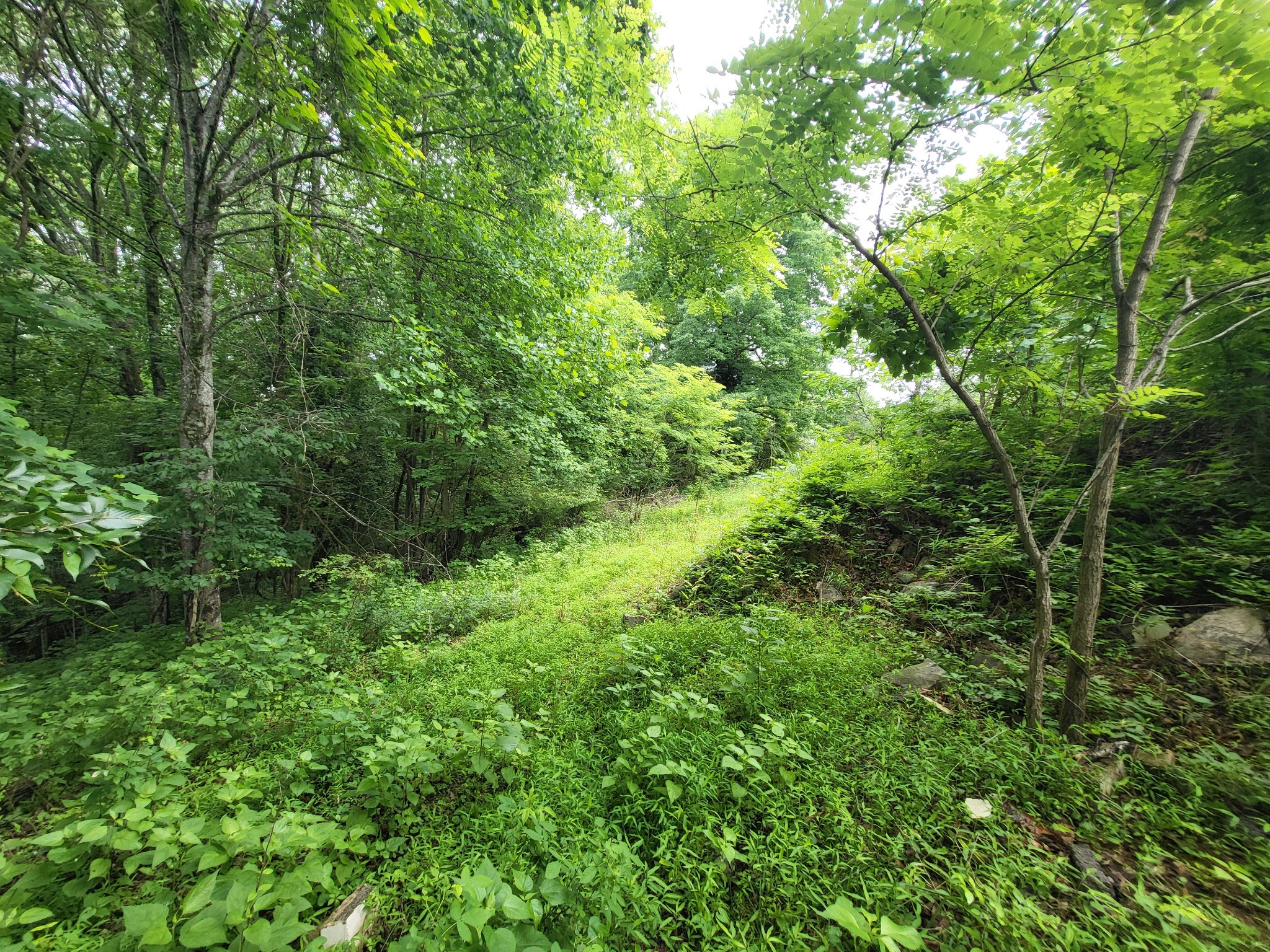 5913 Dividing Ridge Rd