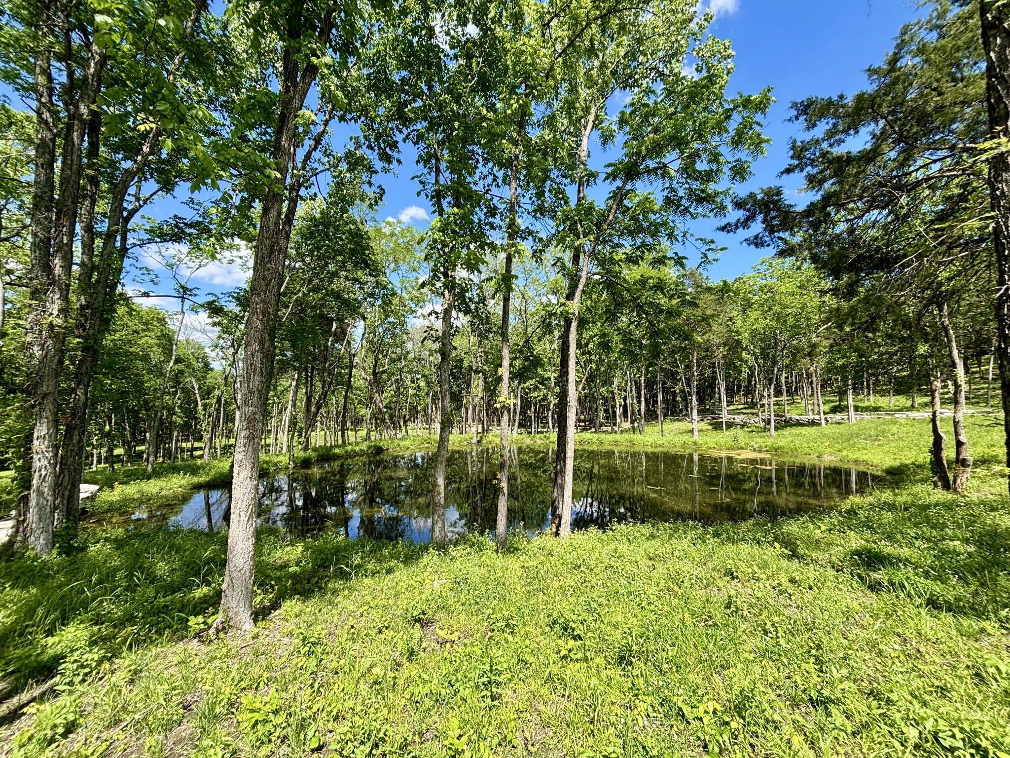 Middle Tennessee Properties 1 8598 Taliaferro Rd