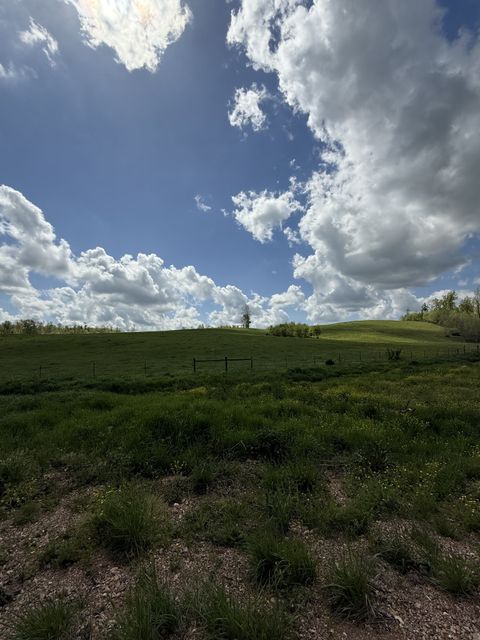 0 Brigham Branch Rd Erin TN 37061
