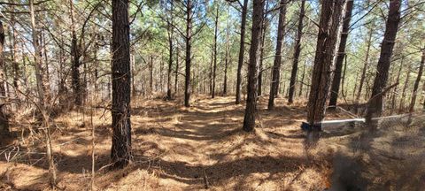 1 Saddleback Dr Dover TN 37058