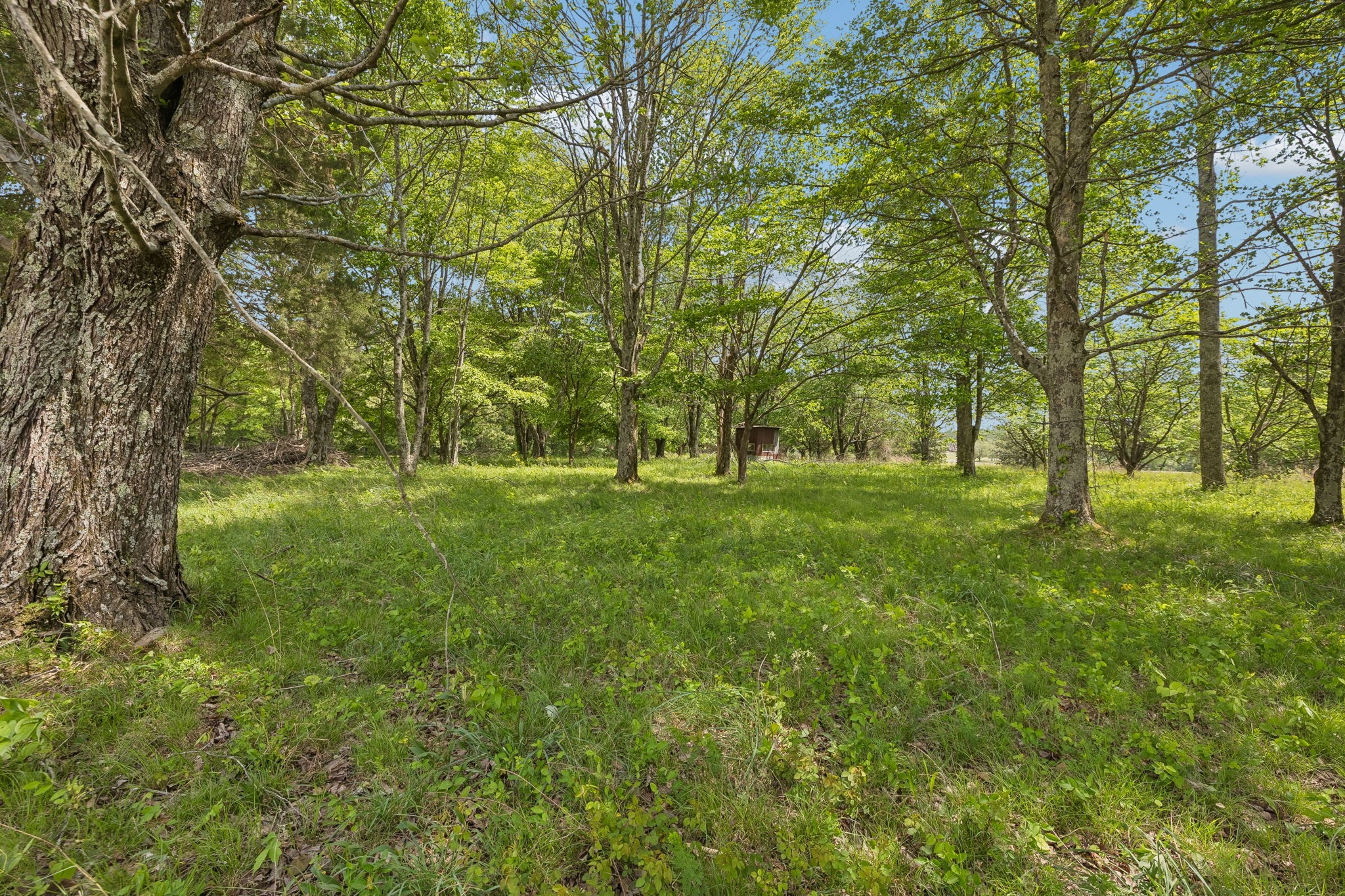 473 Hickory Corner Rd
