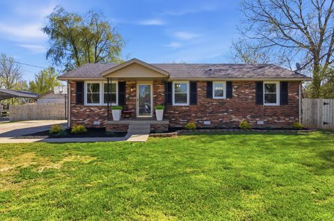 Photo of 205 Dale St, Smyrna, TN 37167 (MLS # 3165250)