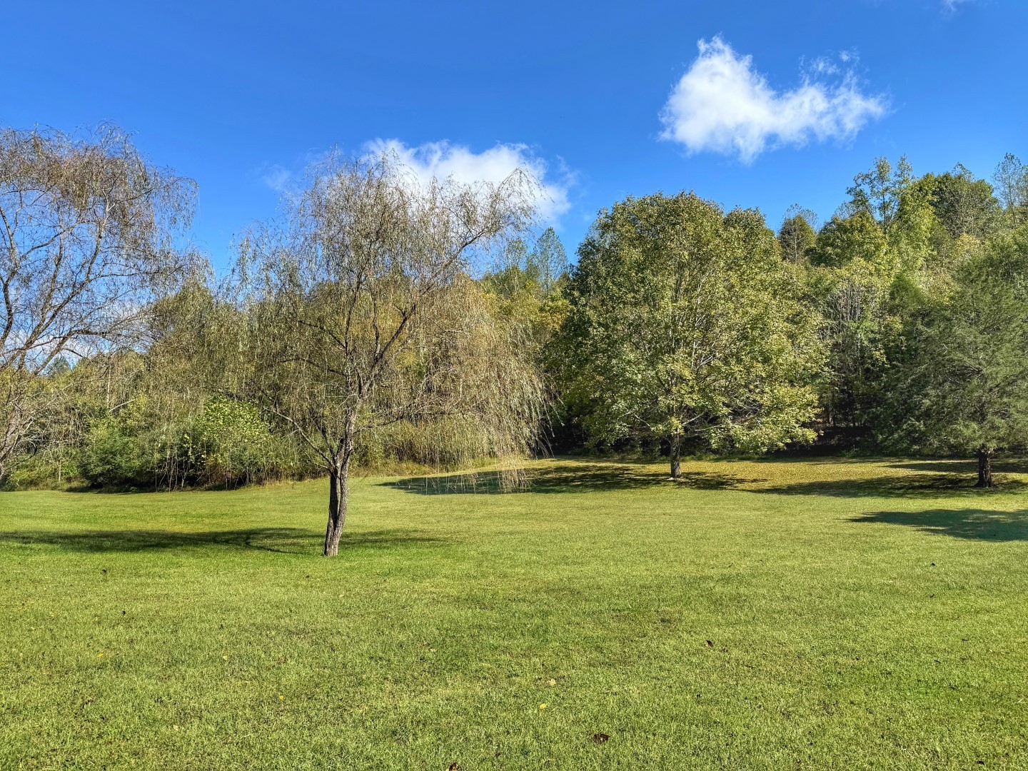 1381 Turkey Creek Rd