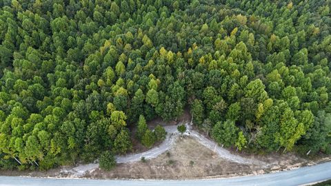 Photo of 4439 Old Hohenwald Rd, Linden, TN 37096 (MLS # 2990747)