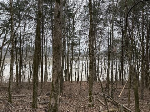 0 Cook Ln Gainesboro TN 38562