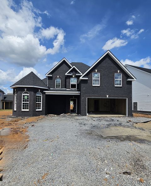 Photo of 1348 Mourning Cloak Dr, Clarksville, TN 37043 (MLS # 3167977)