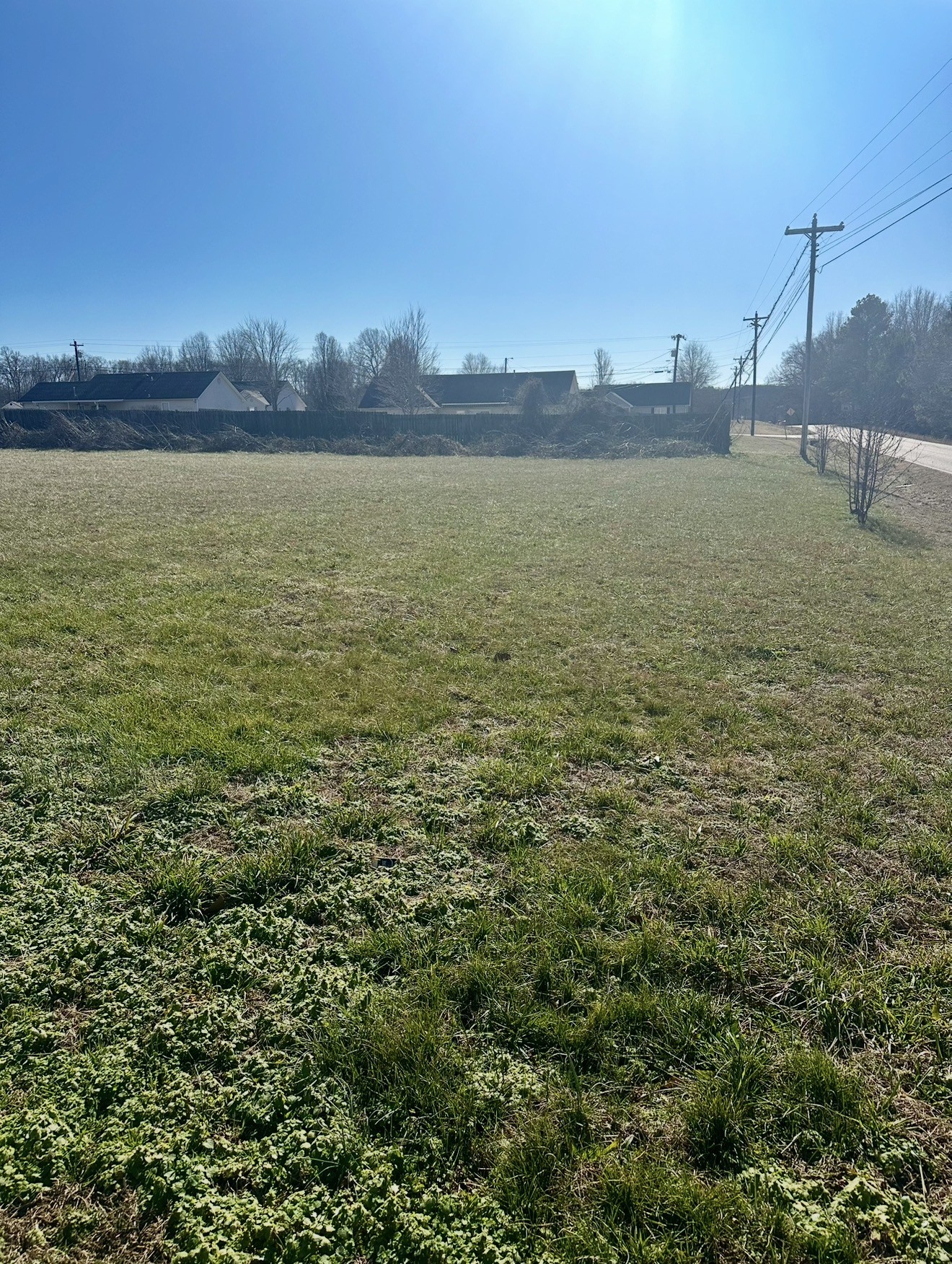 3138 Christmasville Rd - Photo 2