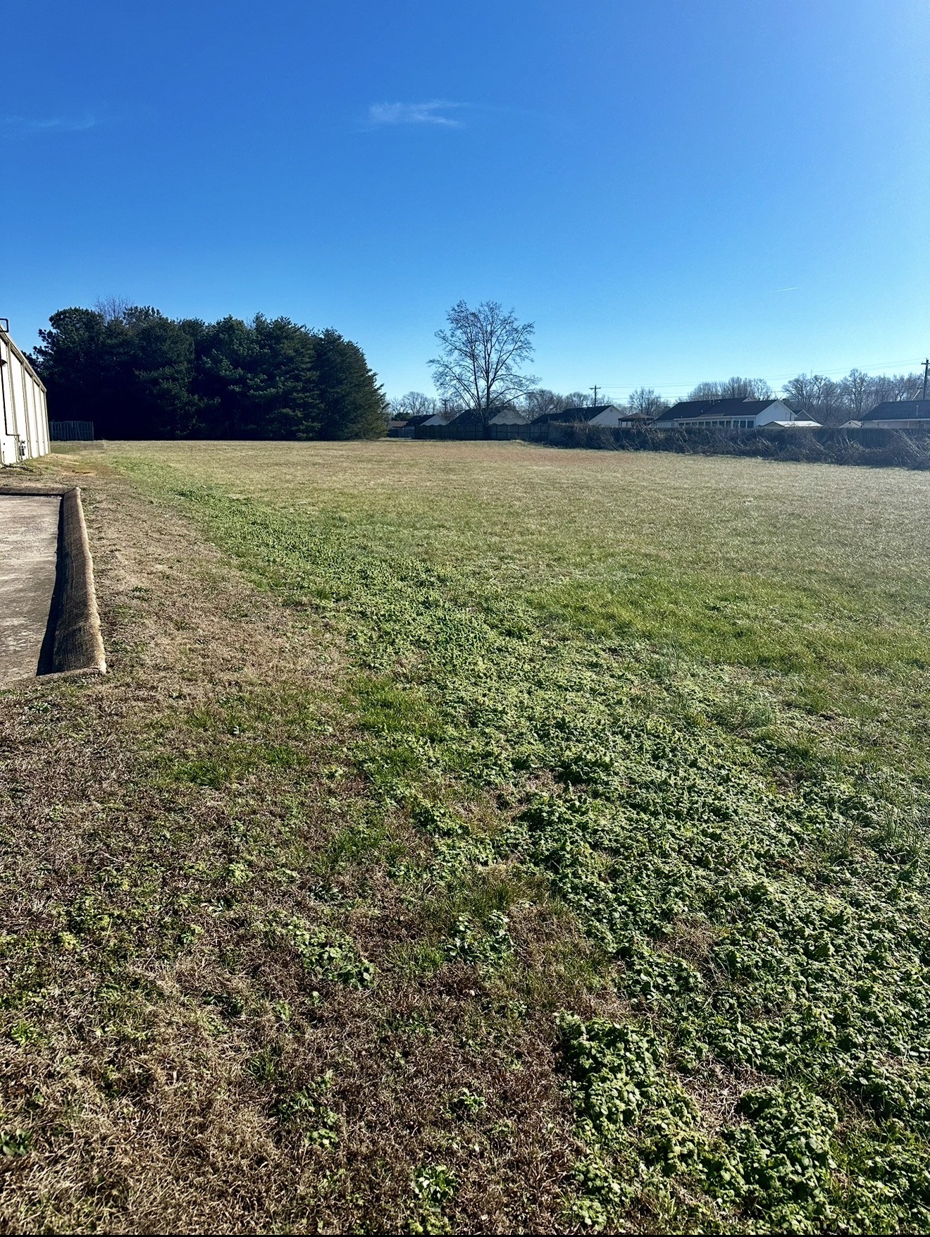 3138 Christmasville Rd - Photo 3