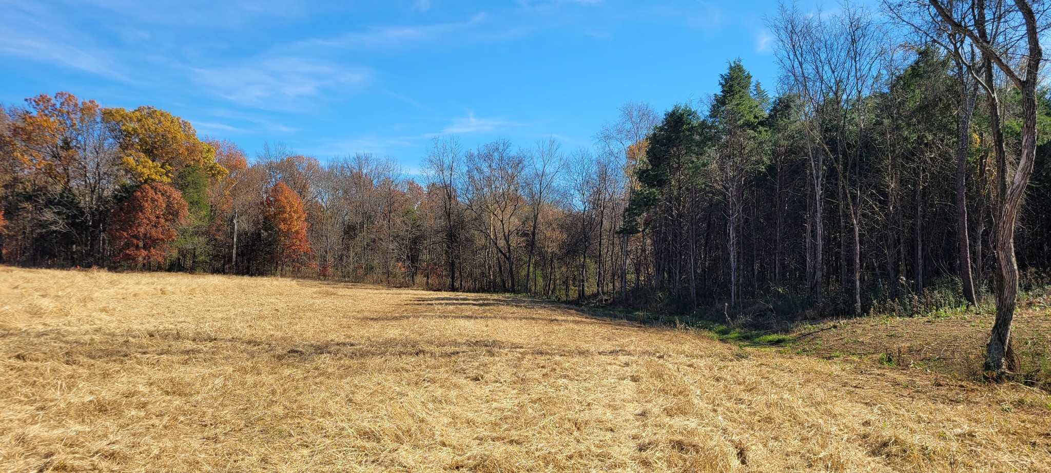 5 Mount Lebanon Church Rd