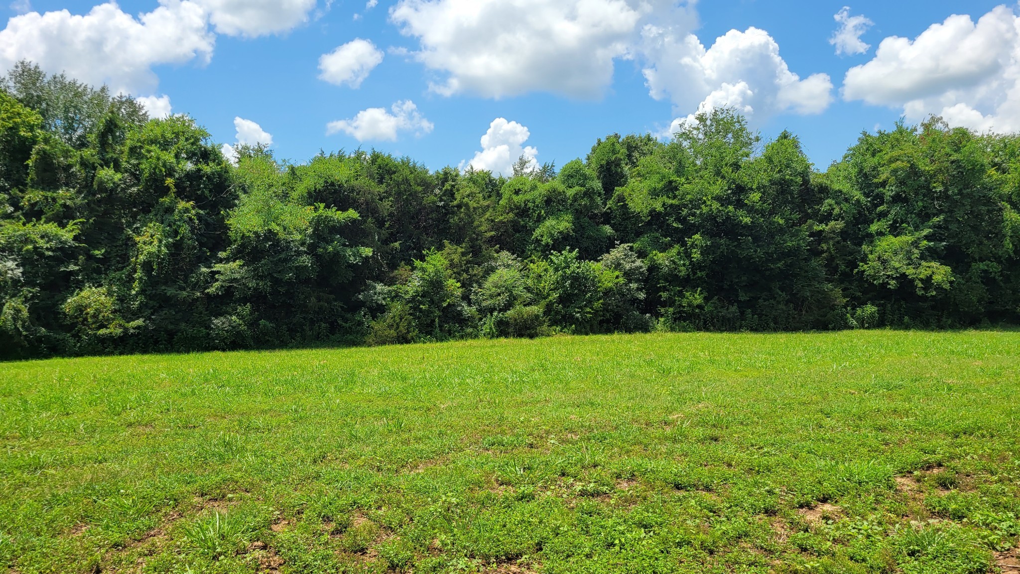 5 Mount Lebanon Church Rd