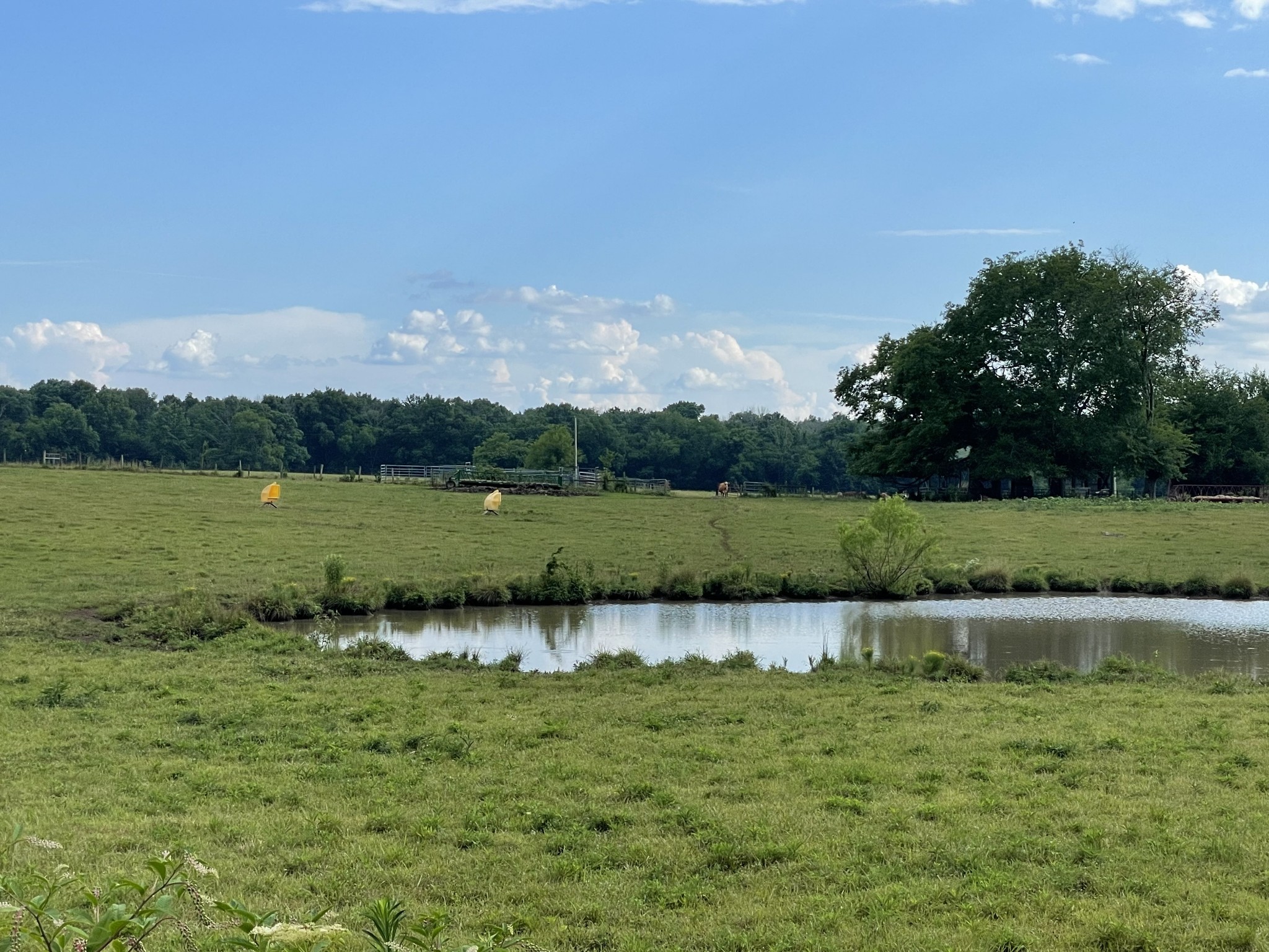 1899 Powell Ln Lot 1