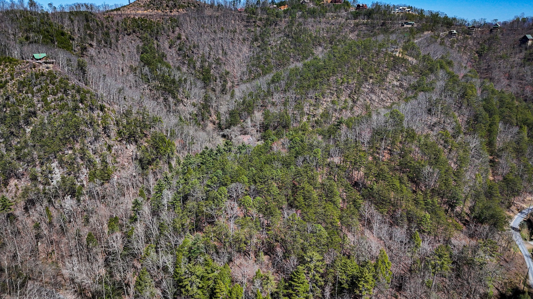 1060 Rayfield Hollow Way