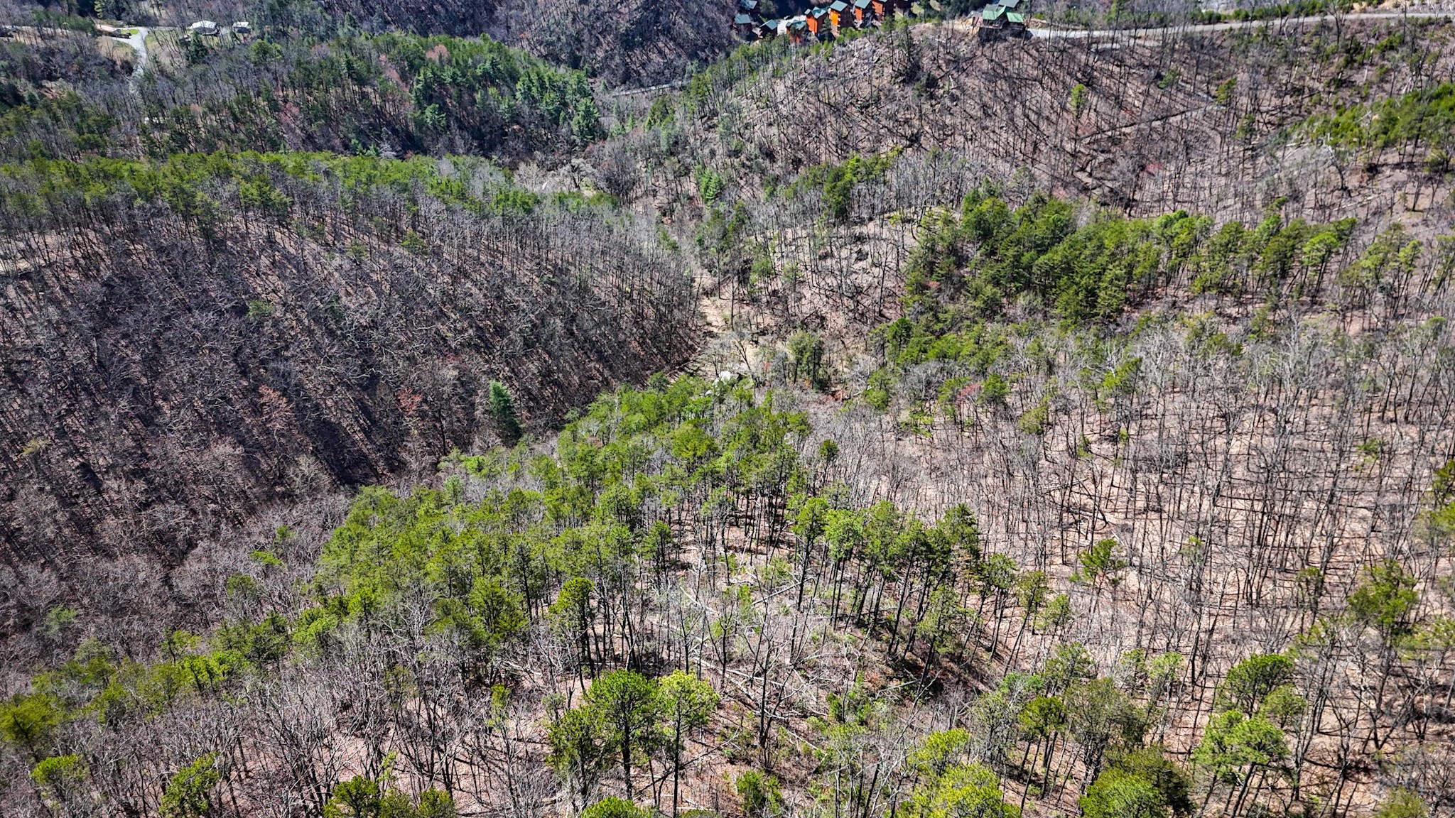 1060 Rayfield Hollow Way