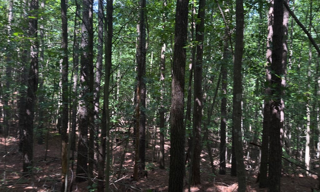 0 Hickory Nut Trl