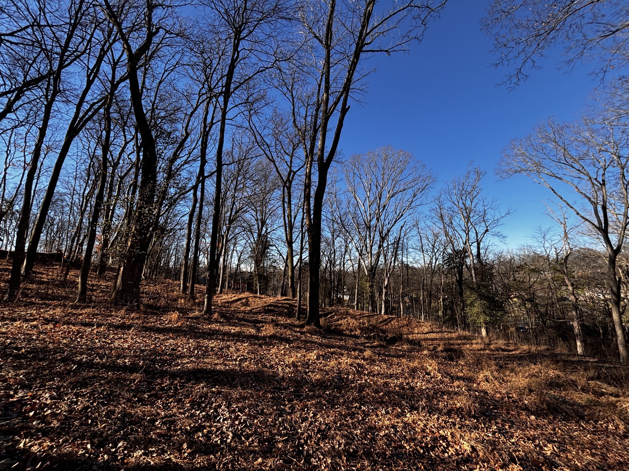 110 Lakeside Park Dr