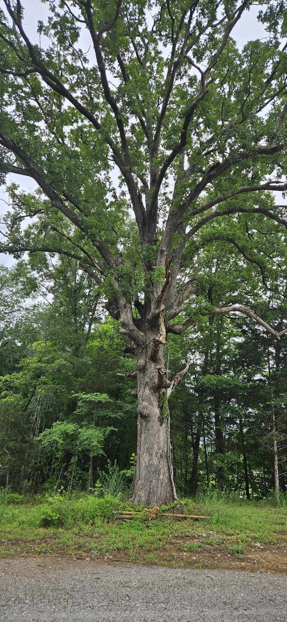 Southside, Tennessee 37171, United States, 3 Bedrooms Bedrooms, ,2 BathroomsBathrooms,Residential,Pending,40303