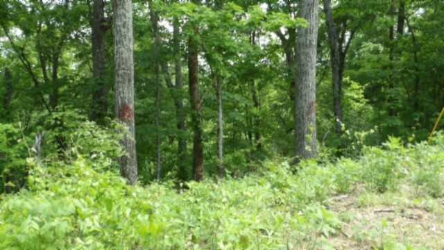 0 Rock Springs Rd
