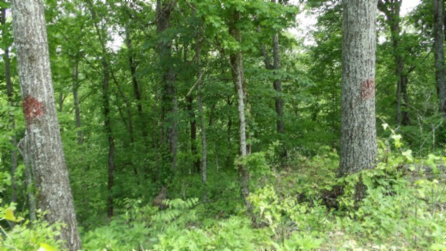 0 Rock Springs Rd