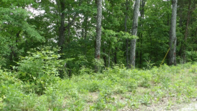 0 Rock Springs Rd