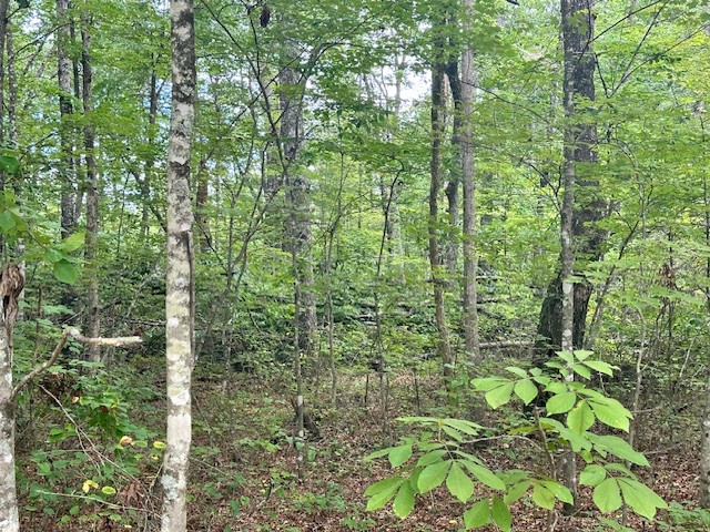 0 Cumberland Lakes Dr