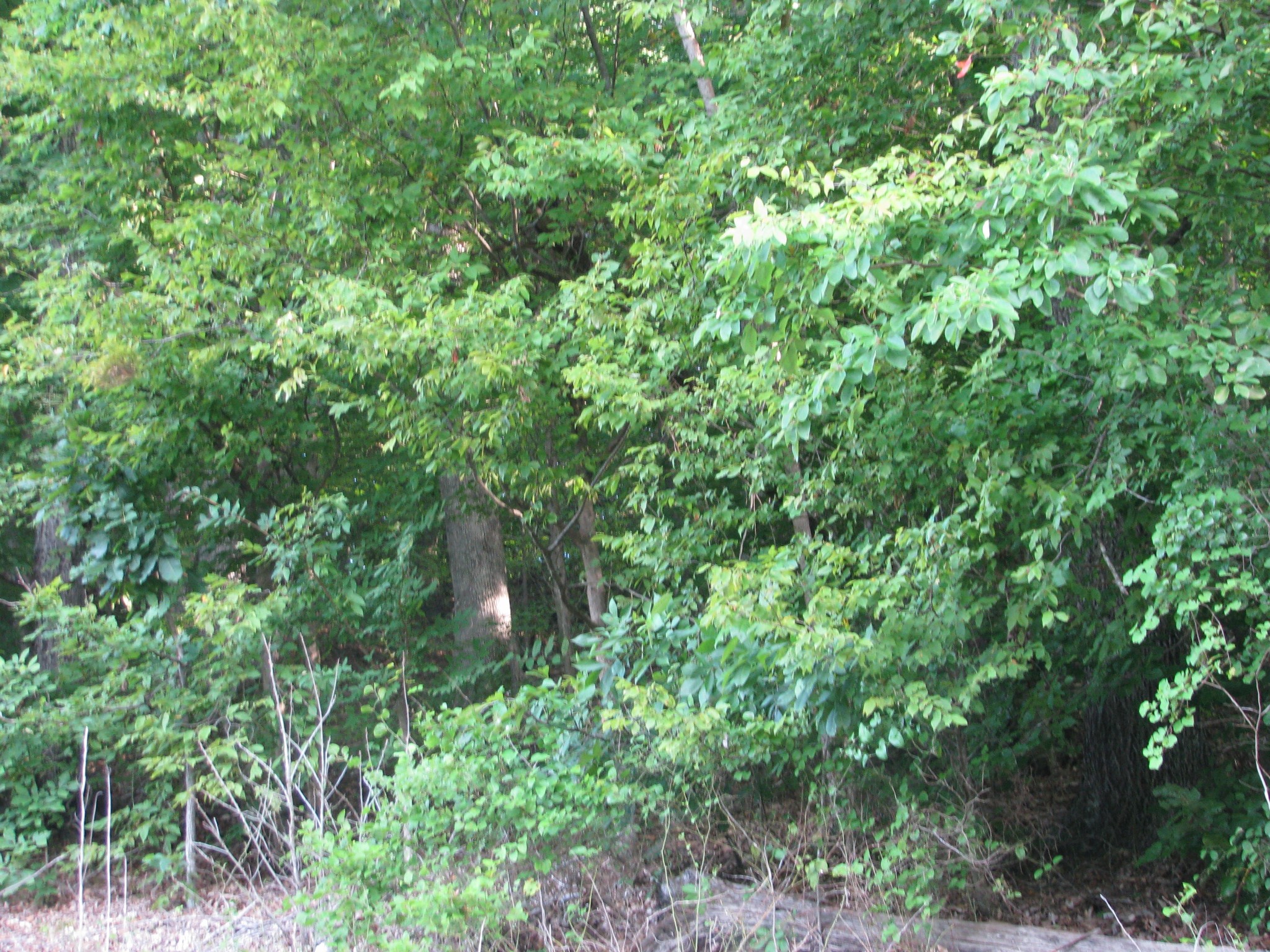 0 West Little Richland Rd
