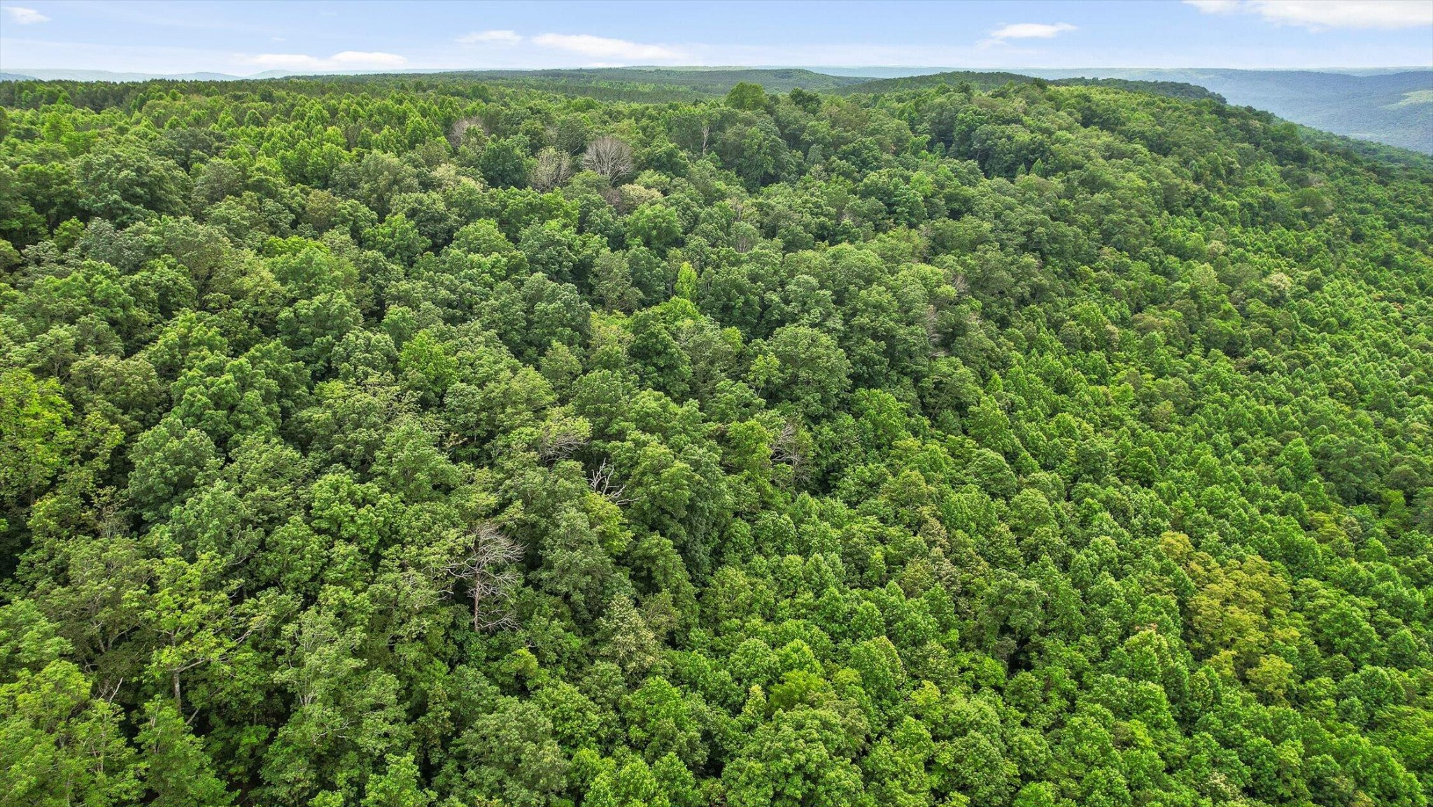 Middle Tennessee Properties 3 0 Preservation Drive