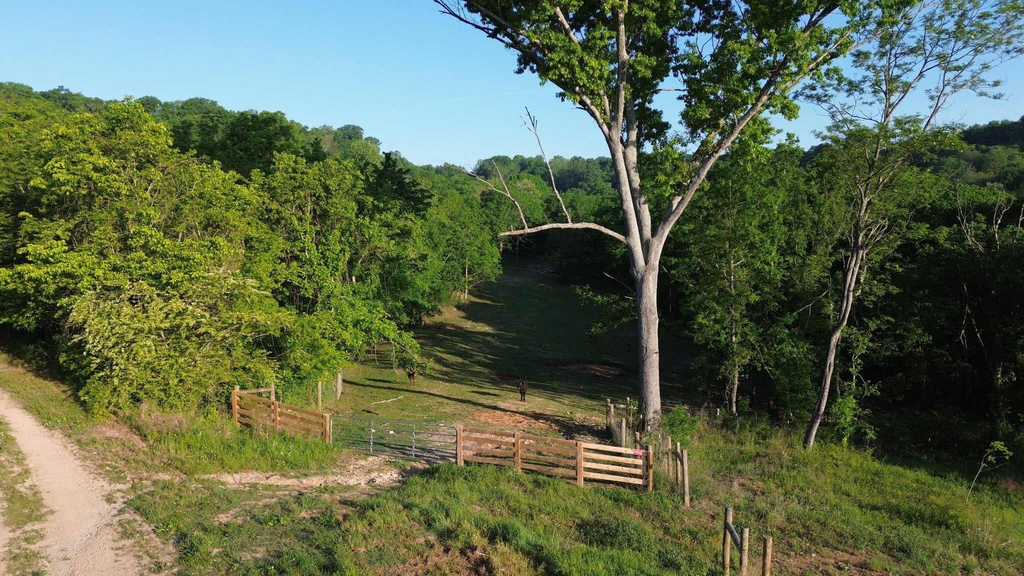 1820 New Highway 7
