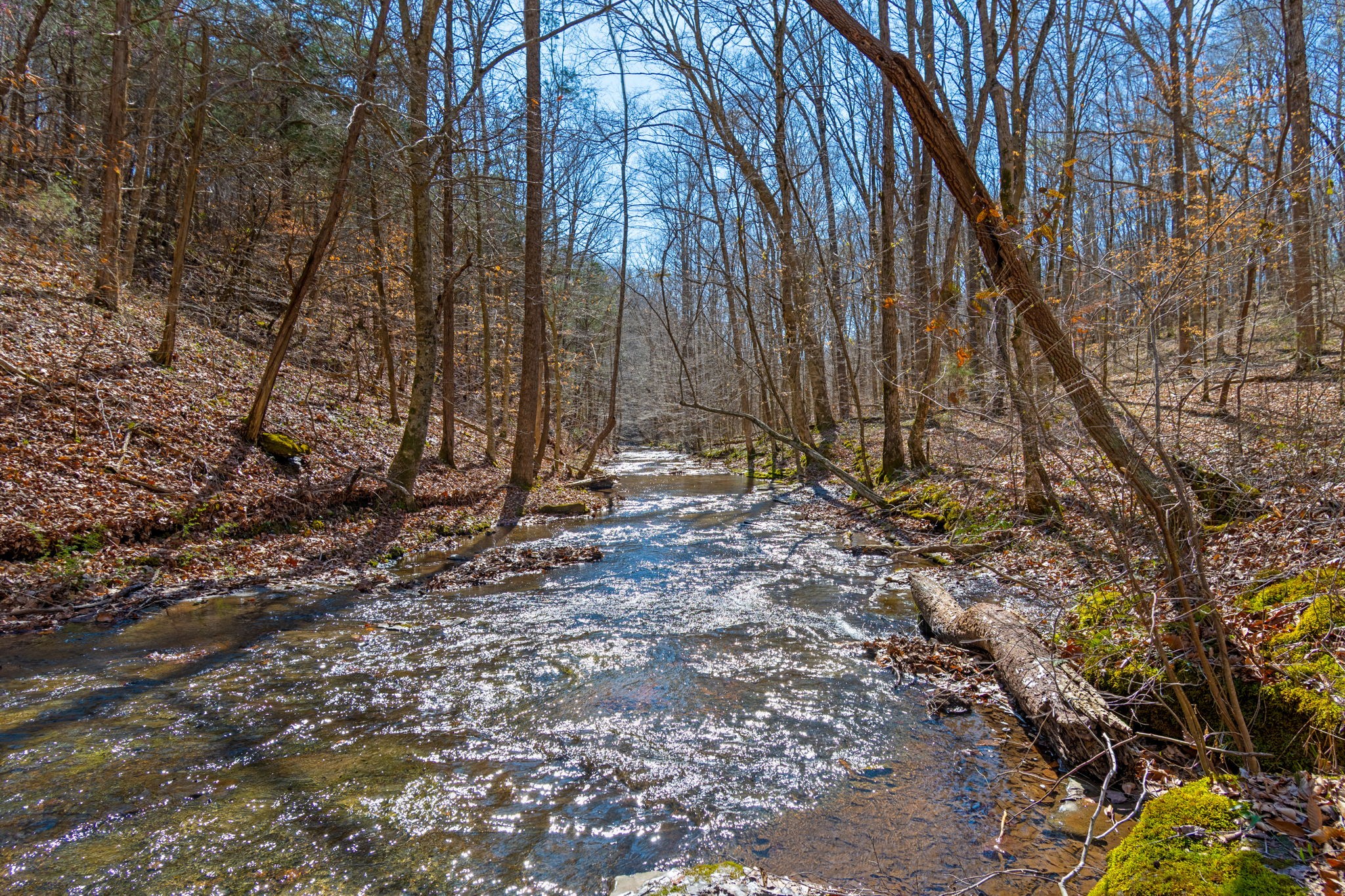 801 Collier Bend Road