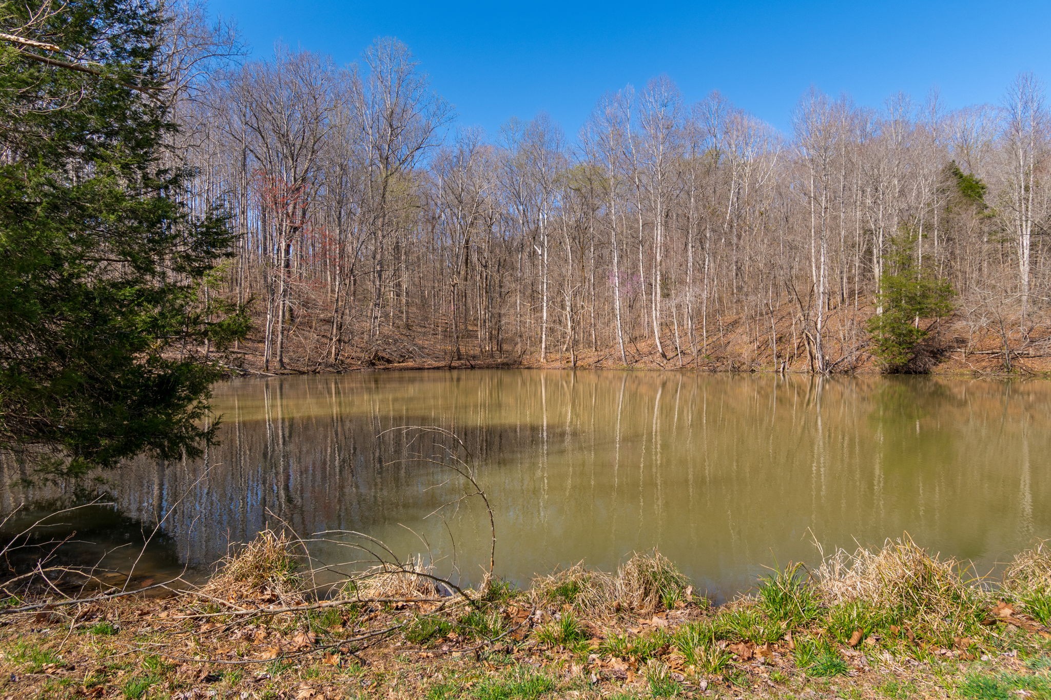 801 Collier Bend Road