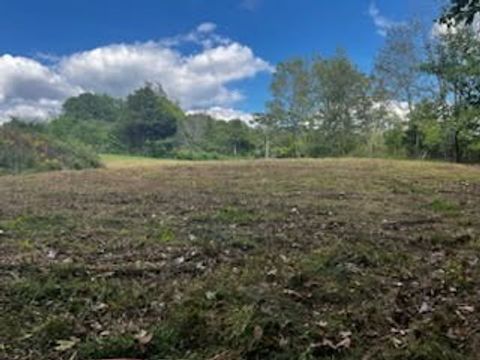 8380 Henley Rd Baxter TN 38544