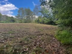 8380 Henley Rd