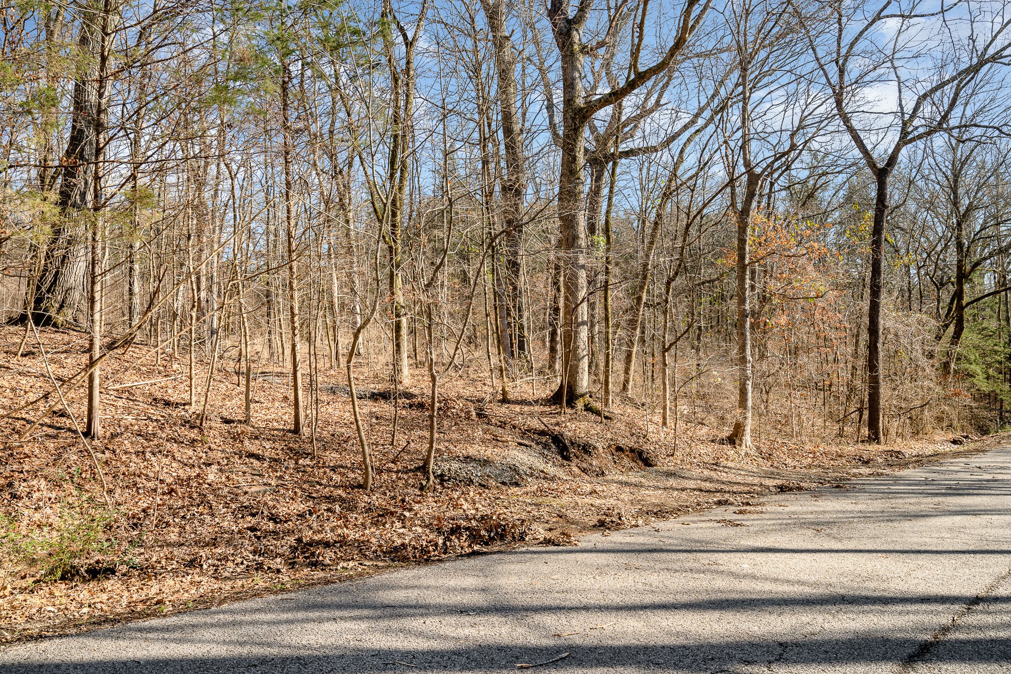 1009 Scramblers Knob