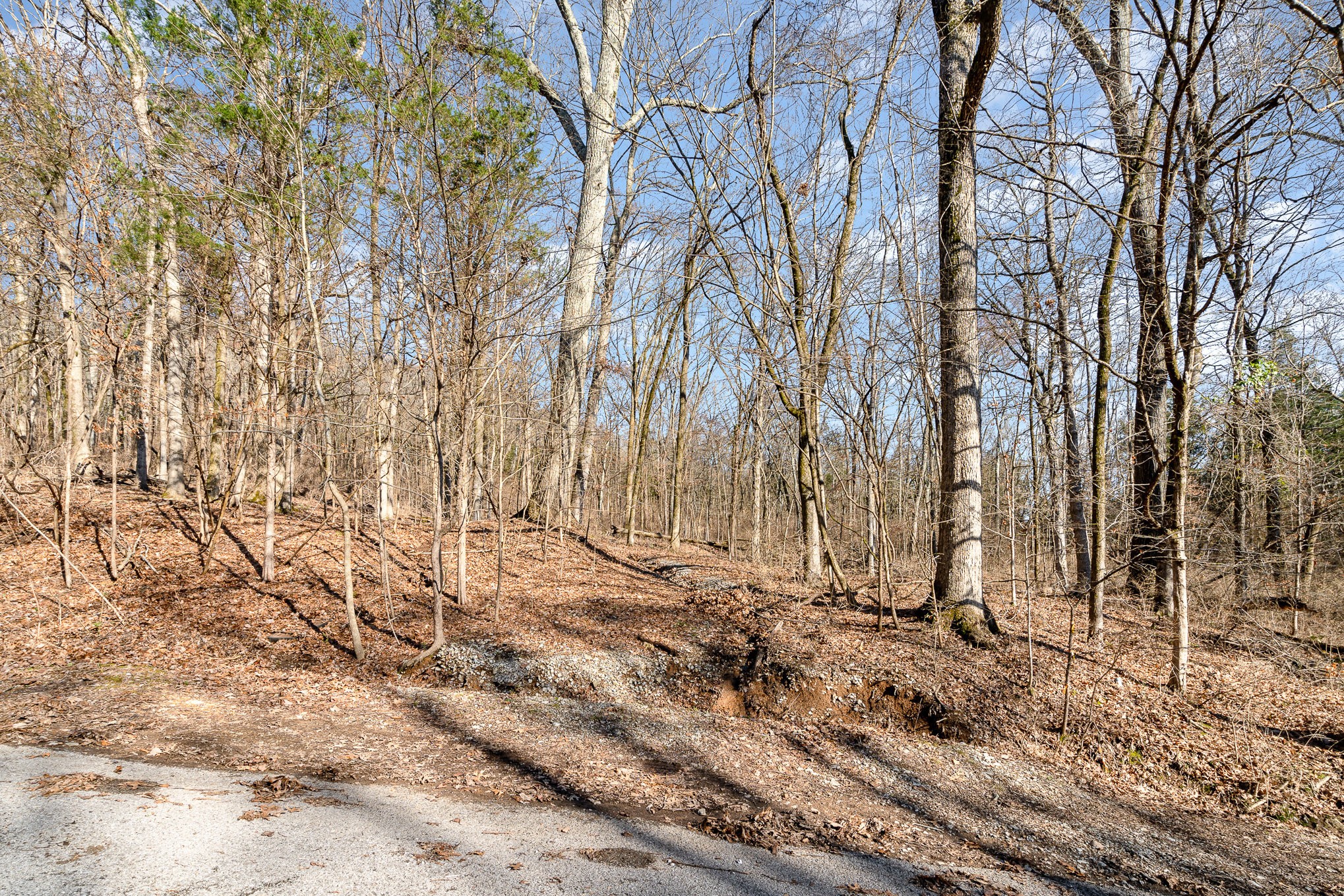 1009 Scramblers Knob