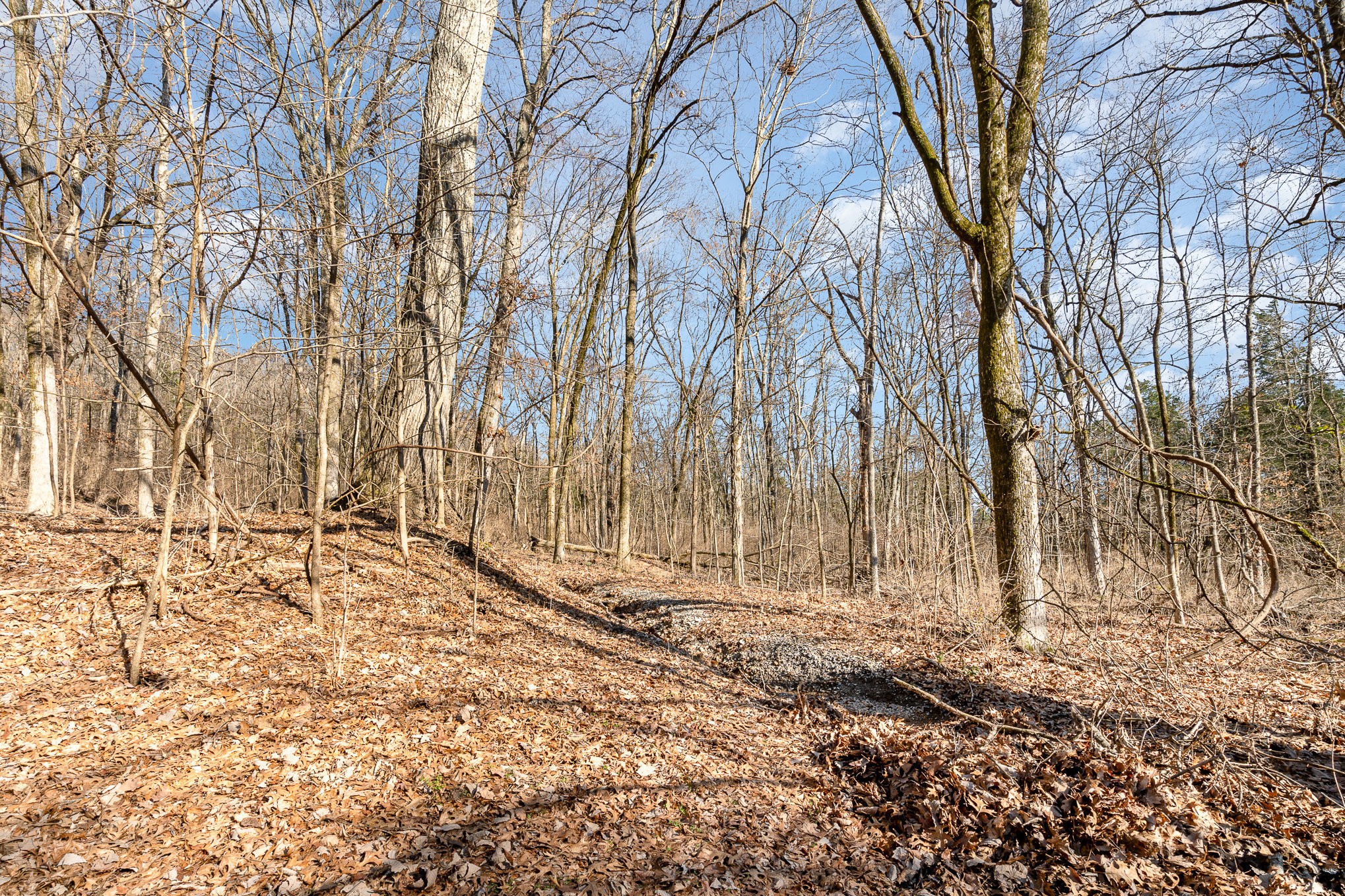 1009 Scramblers Knob