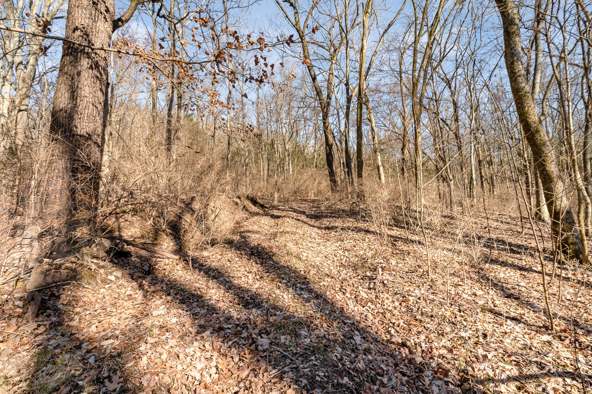 1009 Scramblers Knob