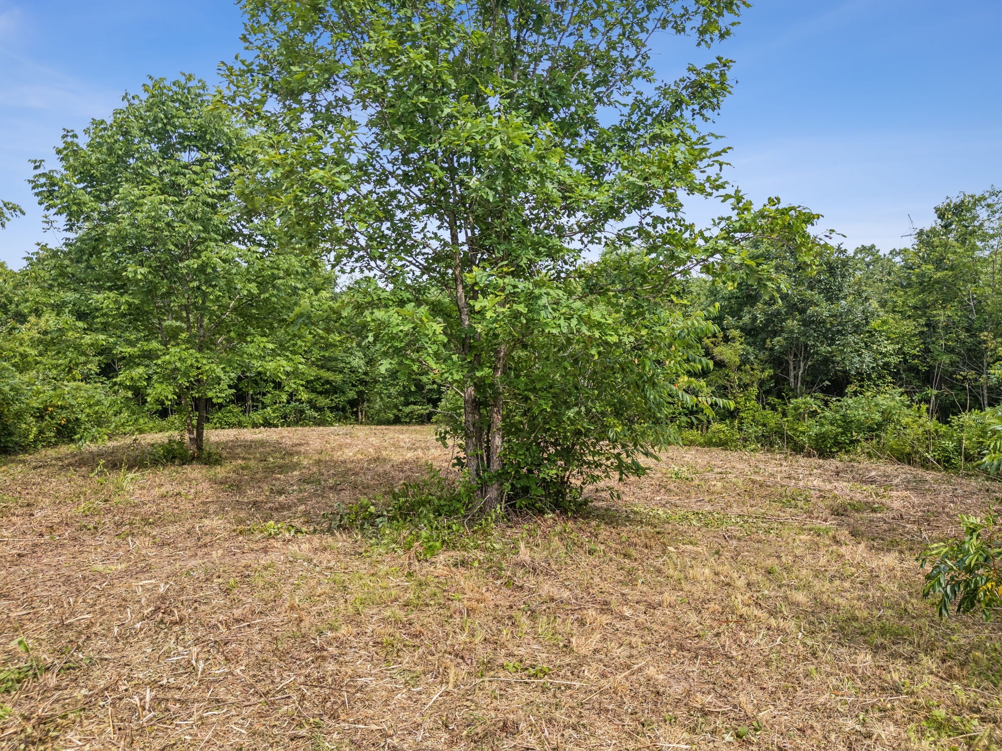 0 Bear Hollow Dr