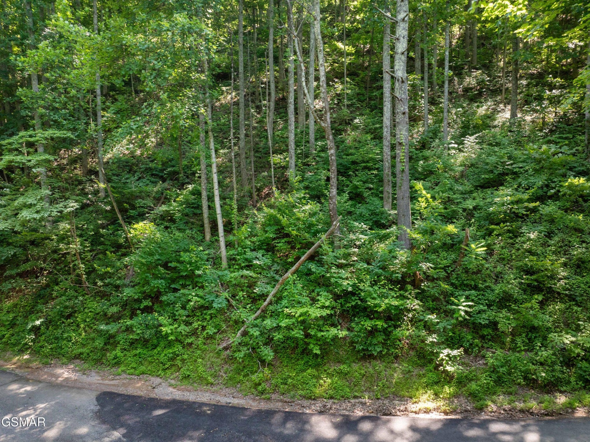 15 Emerald Springs Loop