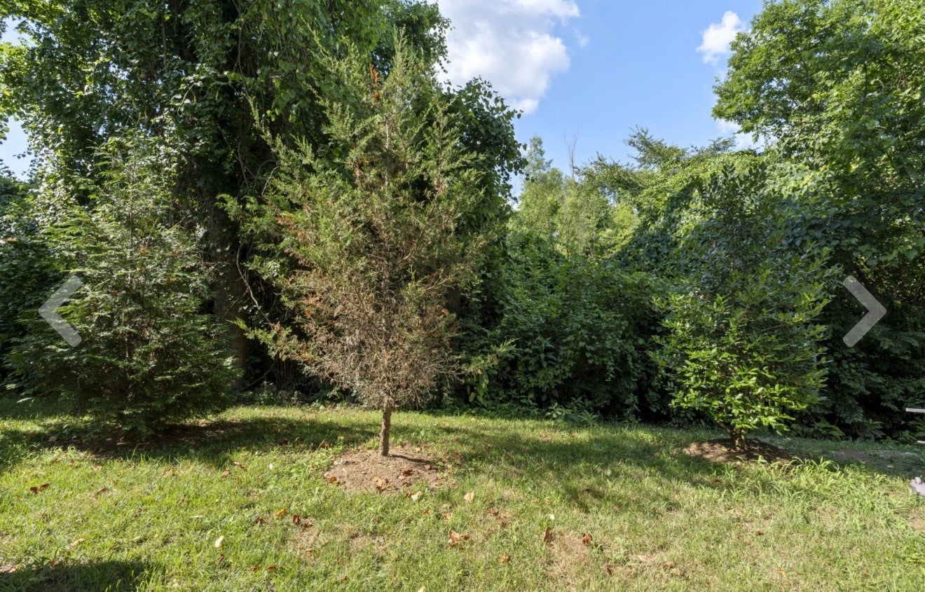 302 Williams Ave 143