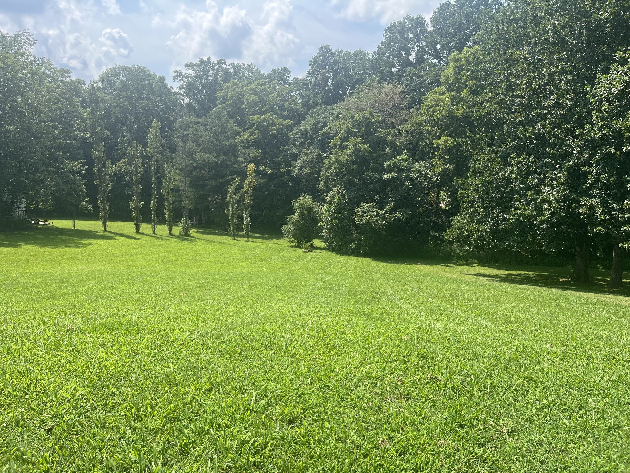 117 Keri Dr
