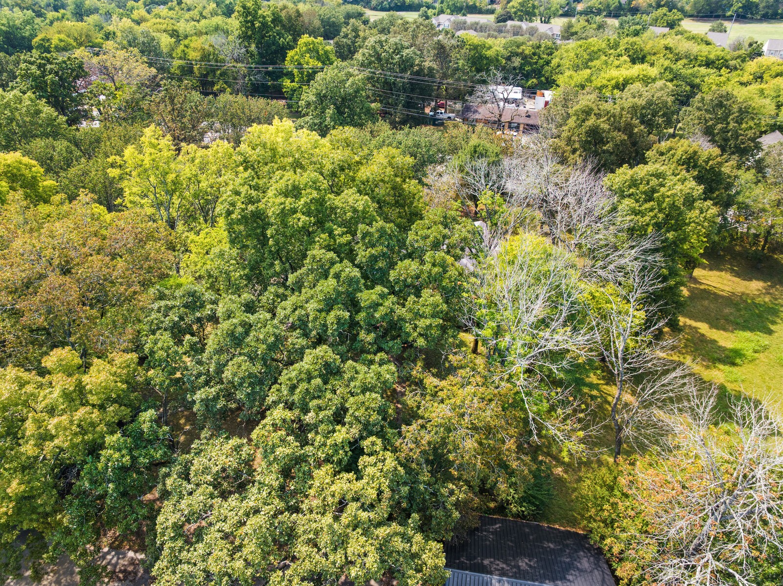 Nashville, Tennessee, 37217, United States, 4 Bedrooms Bedrooms, ,2 BathroomsBathrooms,Residential,Active,2036044
