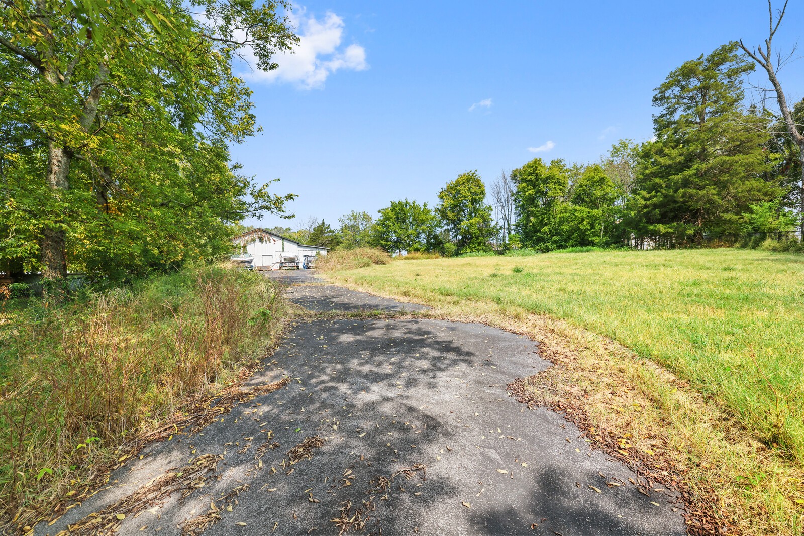 Nashville, Tennessee, 37217, United States, 4 Bedrooms Bedrooms, ,2 BathroomsBathrooms,Residential,Active,2036044