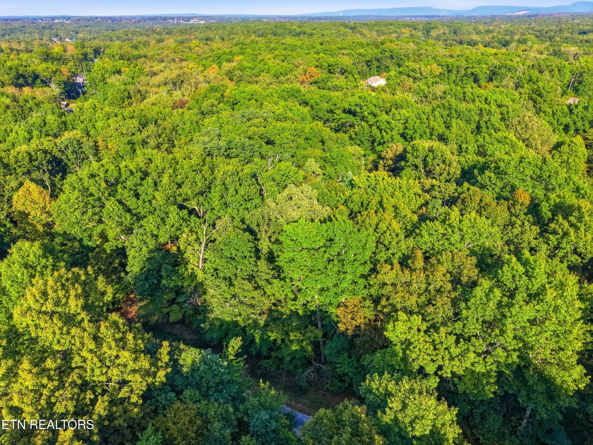 615 Catawba Lane