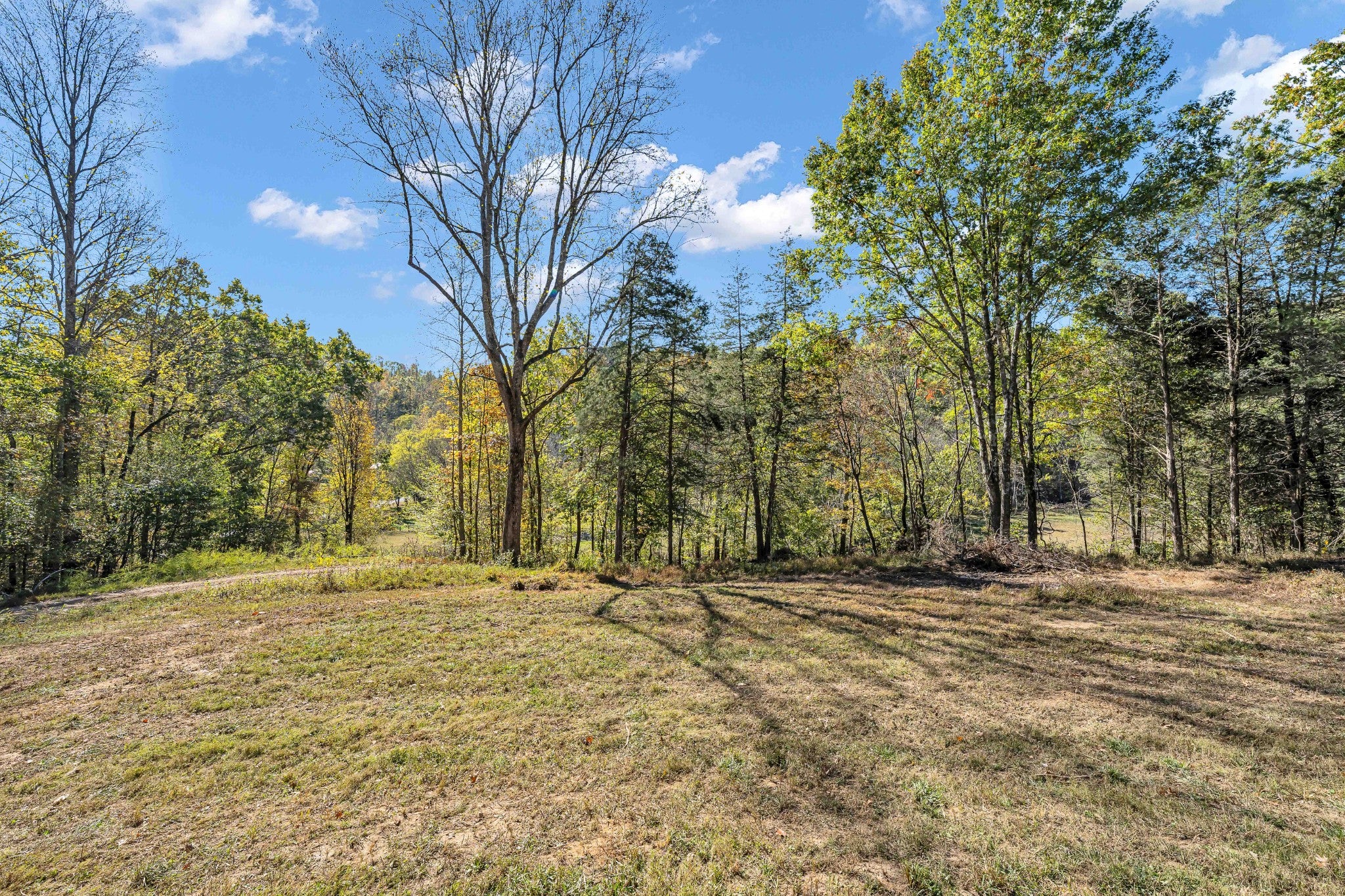 1894 Hicks Hollow Rd