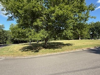 1605 Oak Mountain Dr